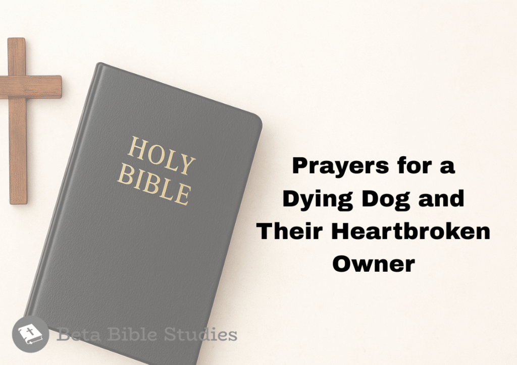 Prayers for a Dying Dog and Their Heartbroken Owner prayers for a dying dog